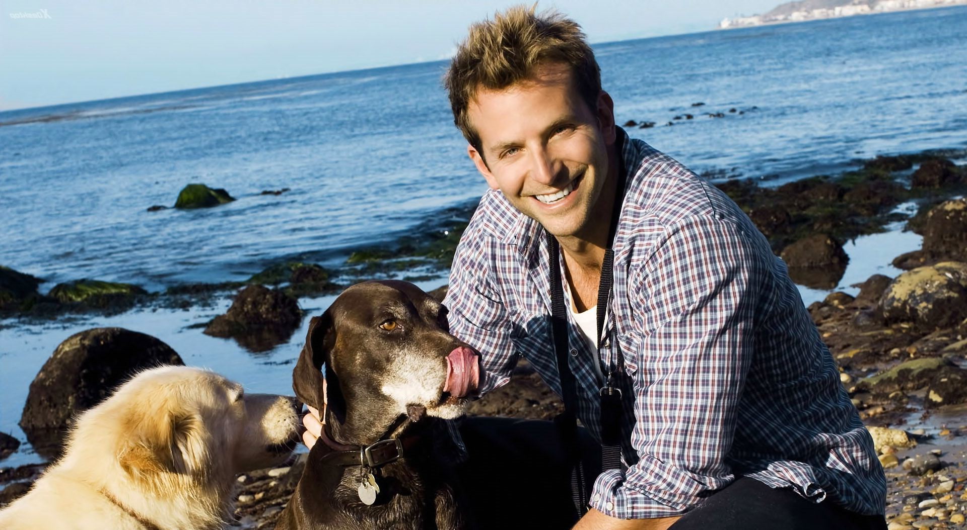 Bradley Cooper is a true dogs lover