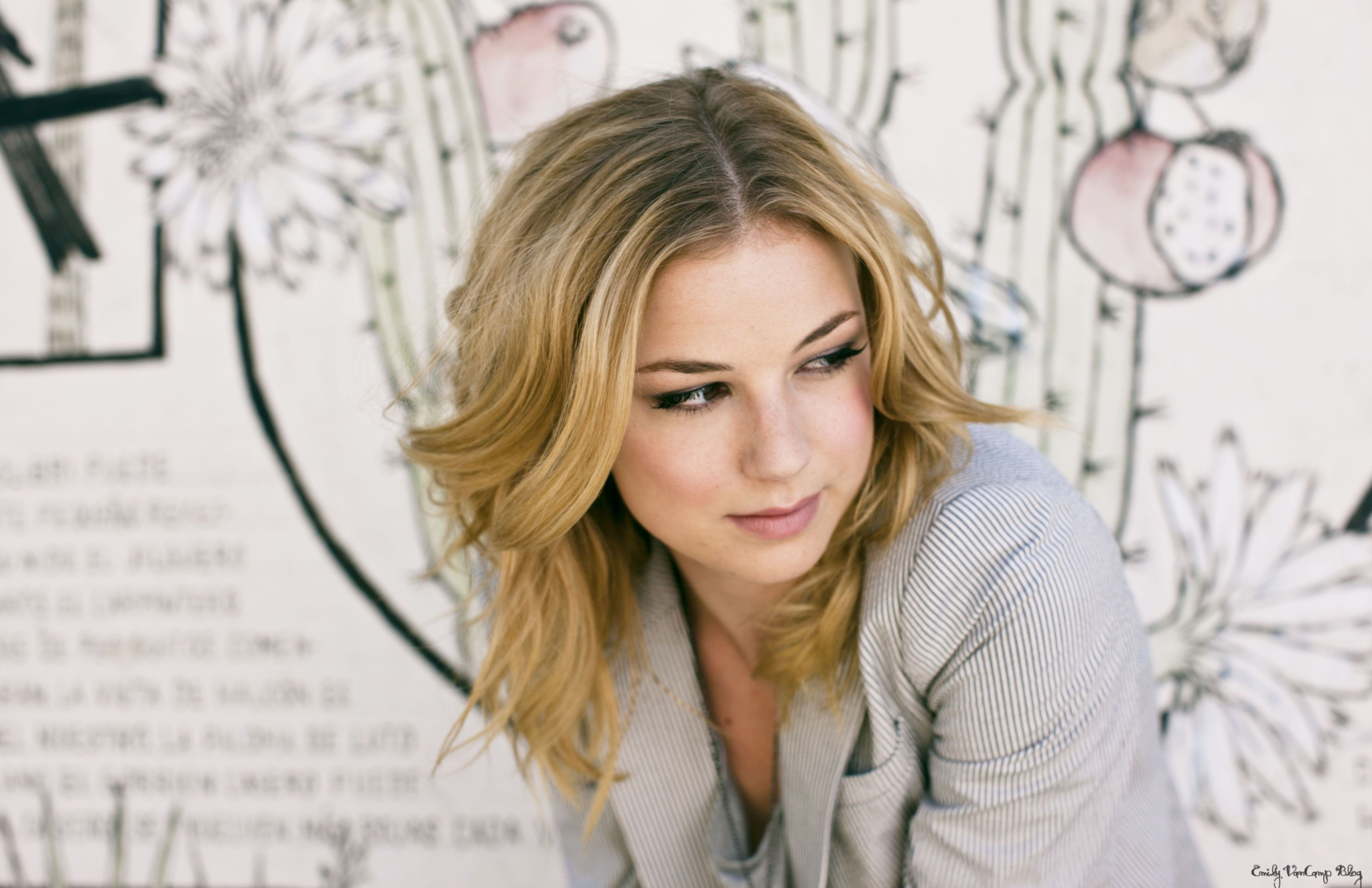 Emily Vancamp Weight Height And Age We Know It All