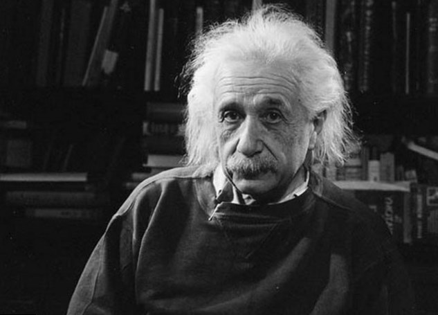 Albert Einstein Weight Height And Age Body Measurements