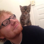 Ed Sheeran is a real cat lover