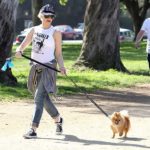 Dog Winston and Gwen Stefani