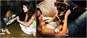 Selena Gomez`s pet - dog Baylor