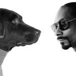 Snoop Dogg loves not only dogs but cats