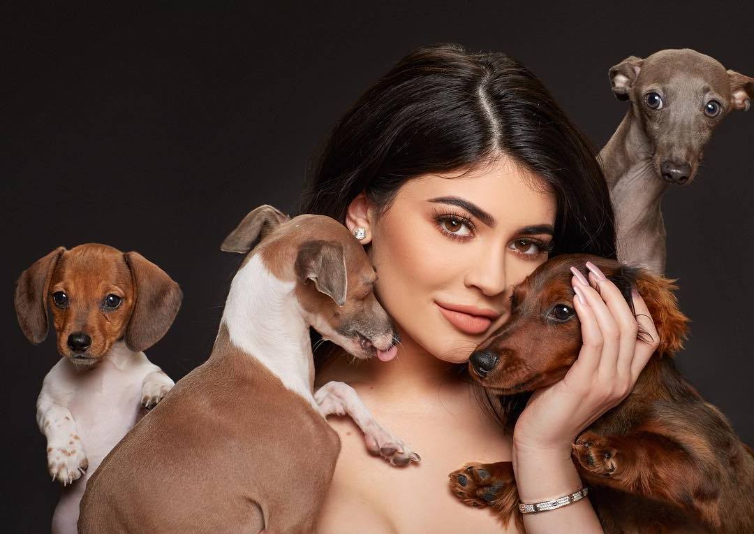 Kylie Jenner Pets Dogs Bambi Norman Ernie Penny 