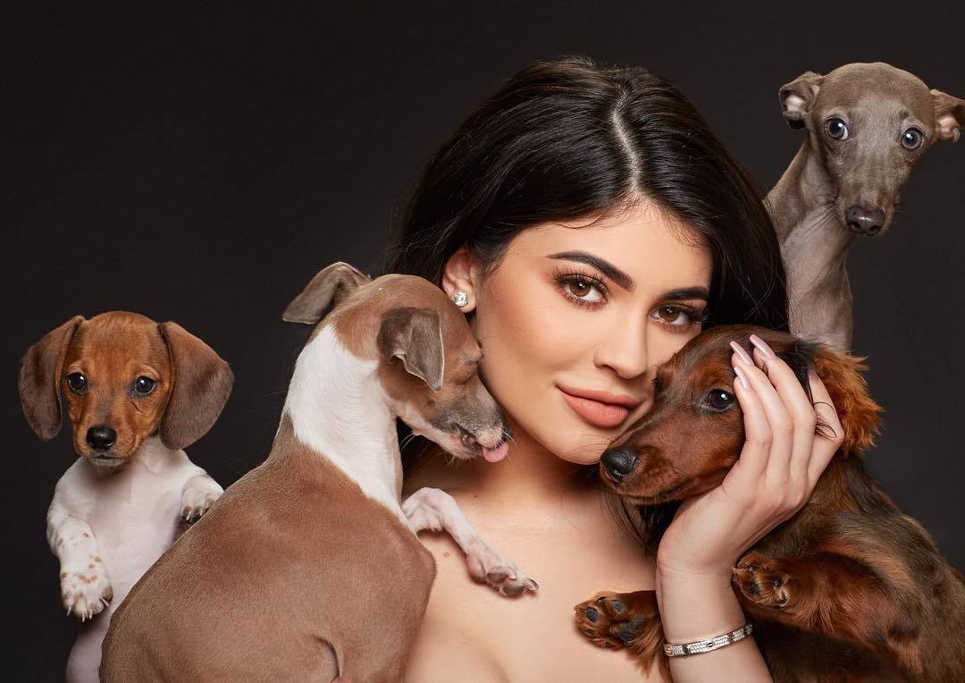 Kylie Jenner`s pets. She does have only 4 dogs for now