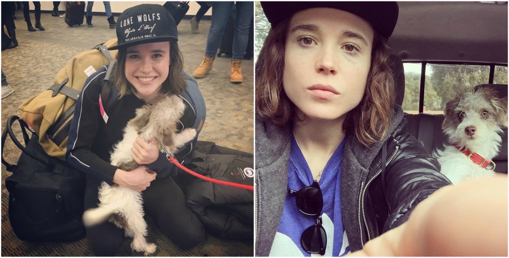 Ellen Page pet - dog Patters