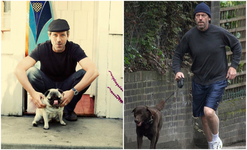 Hugh Laurie with his dogs - Pug and Labrador-retriever mix