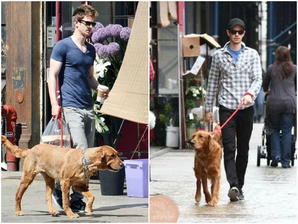 Andrew Garfield walking with his dog Ren