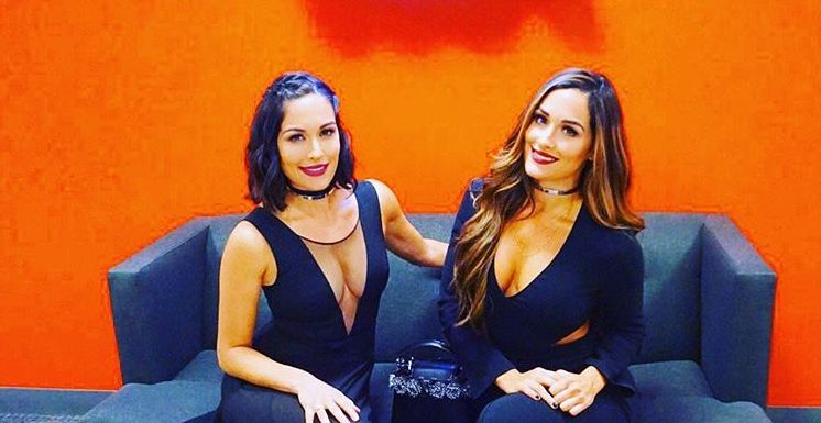 bella twins nikki and brie body measurements