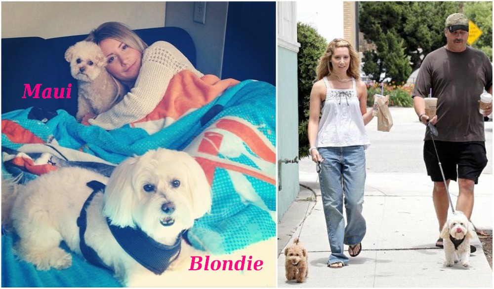 Ashley Tisdale`s pets - dogs Blondie and Maui