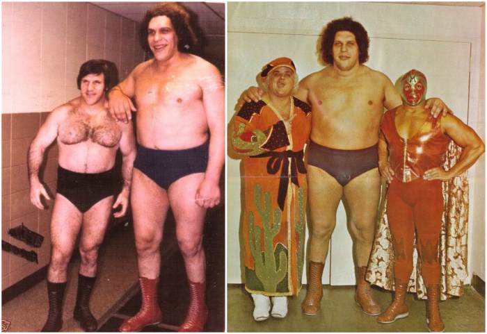 Andre The Giant Weight 