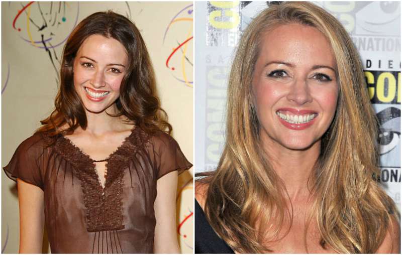 Amy Acker’s eyes and hair color