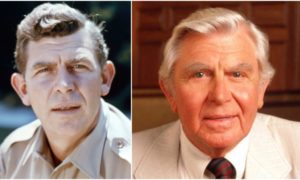 Andy Griffith’s eyes and hair color