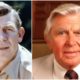 Andy Griffith’s eyes and hair color