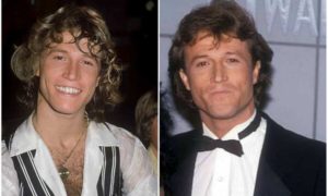 Andy Gibb’s eyes and hair color