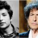 Bob Dylan's eyes and hair color