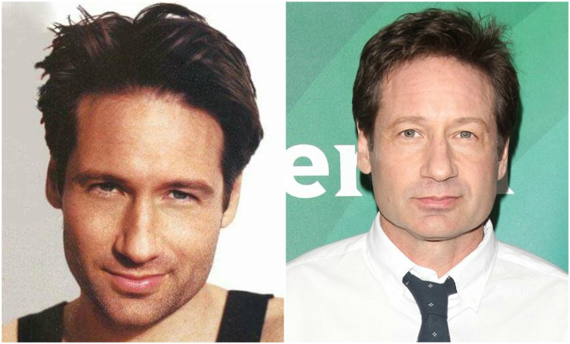 David Duchovny's eyes and hair color