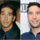 David Schwimmer’s eyes and hair color