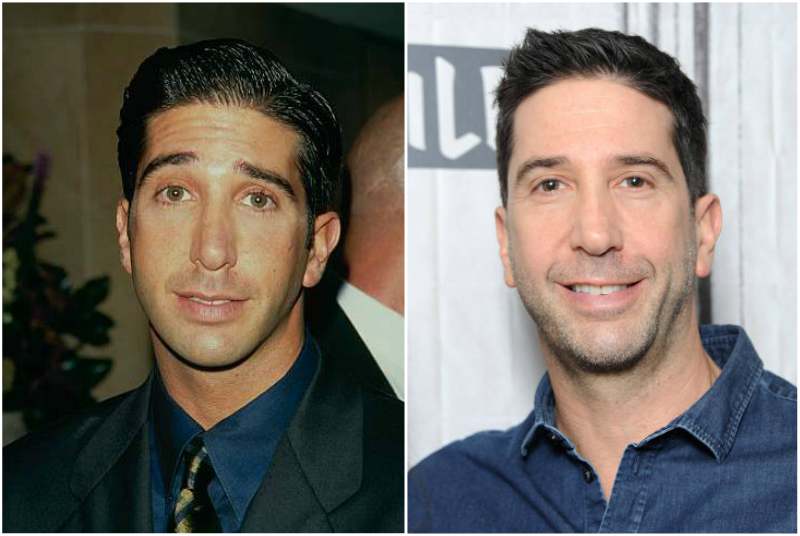 David Schwimmer’s eyes and hair color