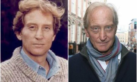 Charles Dance's eyes and hair color